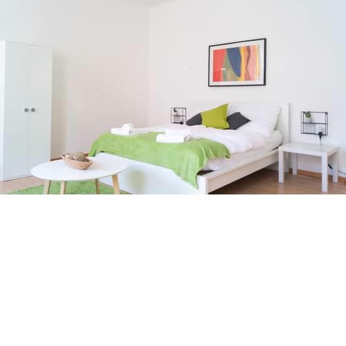 Moder apartment in the heart of Vienna (6)