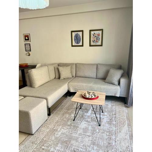 Modern Apartment in TwinTowers Shenqjin