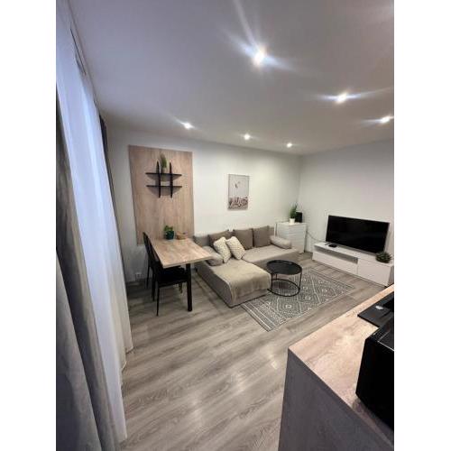 Modern Apartment Near Football Stadium