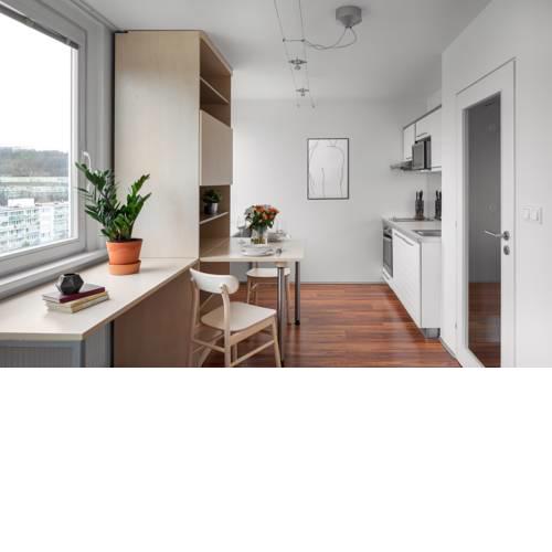 Modern Apartments Karlín