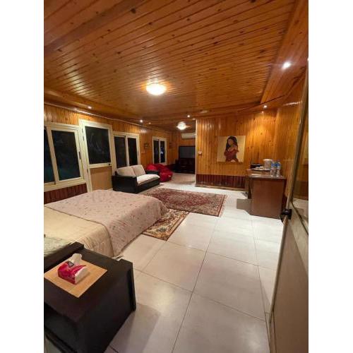 Modern cabin