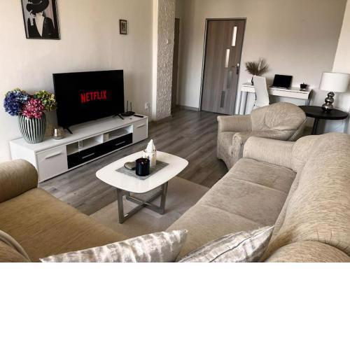 Modern, Cozy apartment with Netflix & Free parking