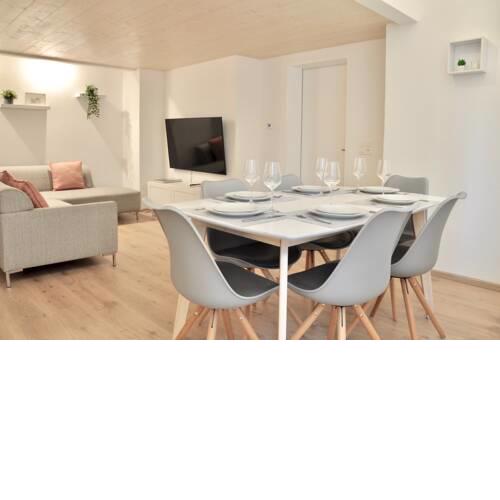 Modern Family Apartment in Interlaken Center