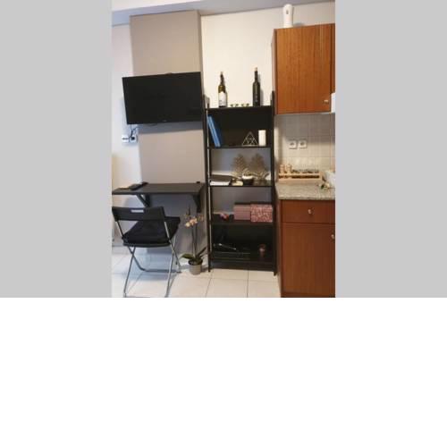 Modern Petite Studio
