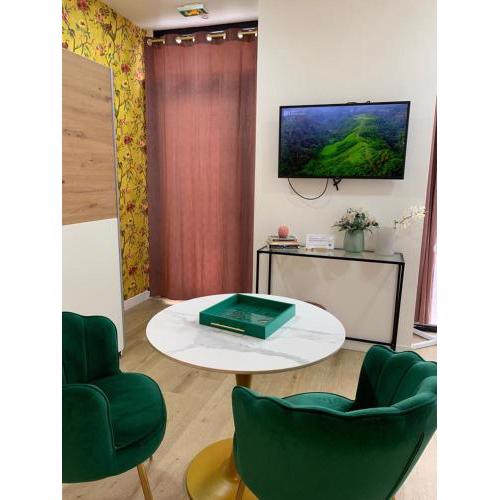 Modern Renovated studio with a touch of gilded glamour central Paris