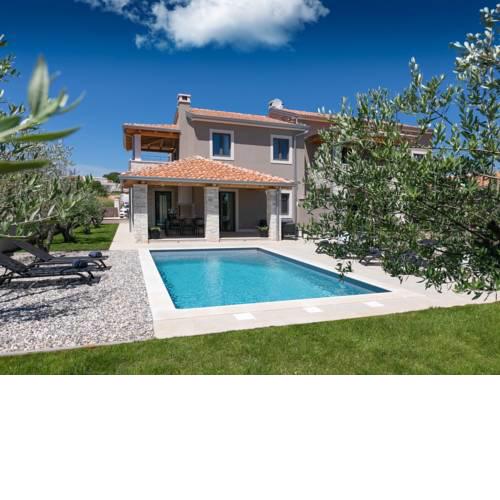 Modern Villa in Vabriga with Pool