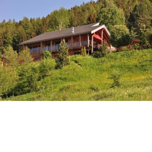 Modernes Chalet - Blue Merle