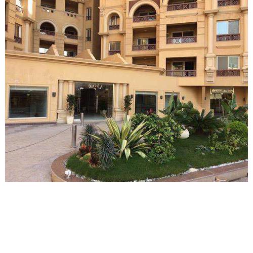 Mohamed Afifi Florence El Montazah