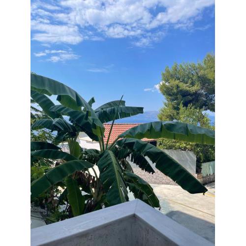 Mohito beach apartments 2