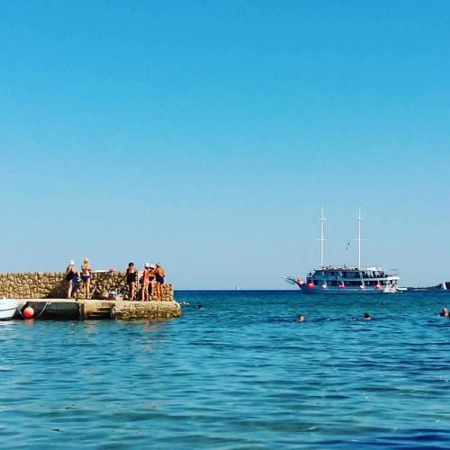 Molat83