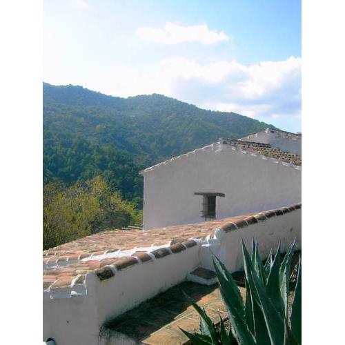 Molino El Pinillo