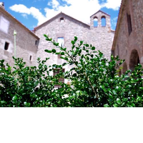Monestir de Sant Salvi