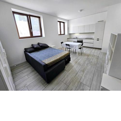 Monolocale a Mendrisio