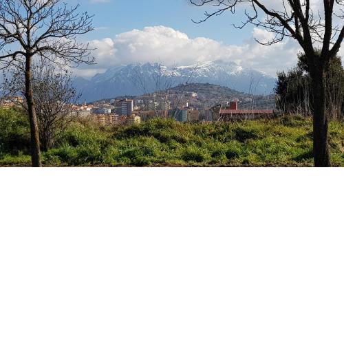 Monolocale con giardino indipendente