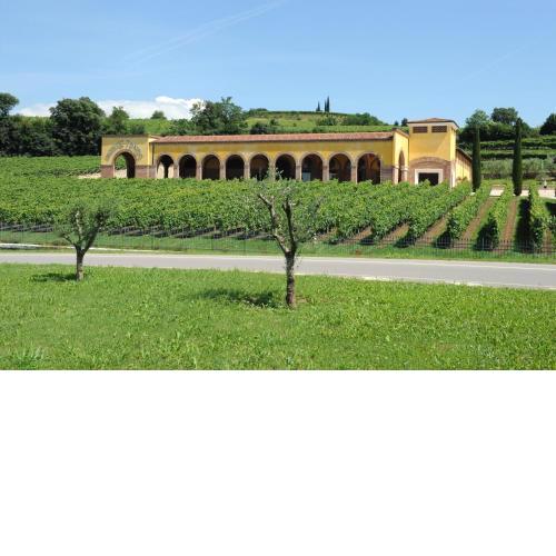 Monte Tondo Winery e B&B