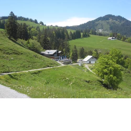 Montlinger Schwamm