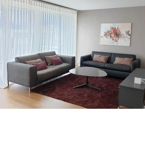 Montreux Boutique Apartment - 3 bedroom - 24/7 Concierge SA