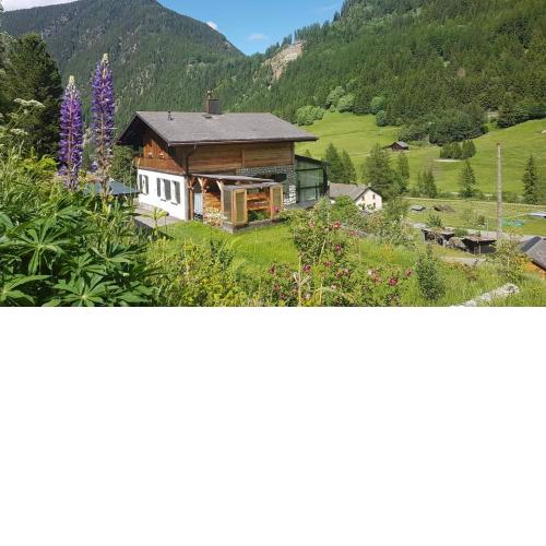 Mountain getaway in the Trient valley