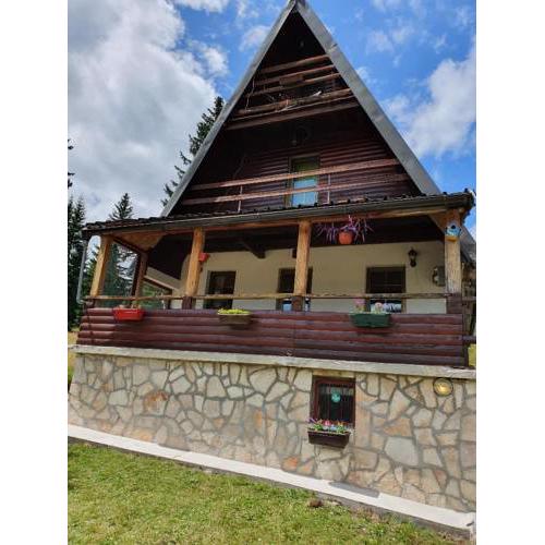Mountain home Pejakovic