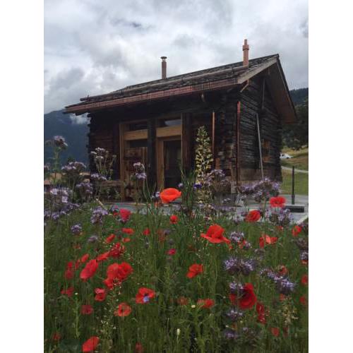 Mountain Lodge: Mayen de charme