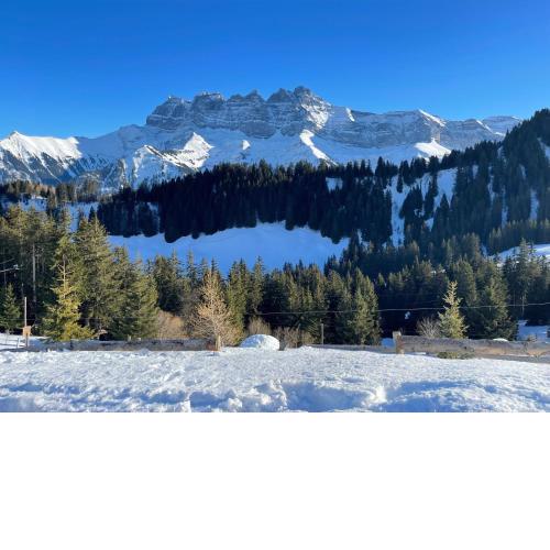Mountain River Appart