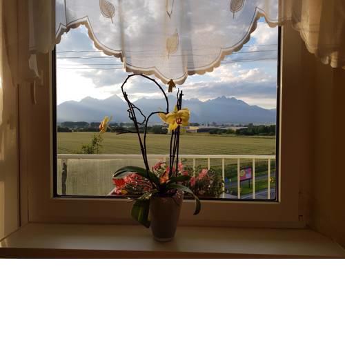 Mountain view apartment