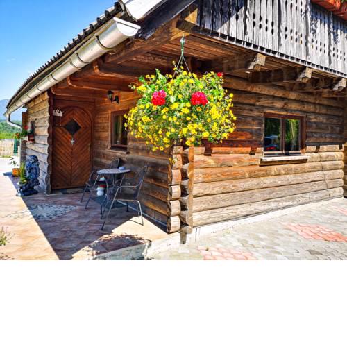 Mountain View Chalet near BLED