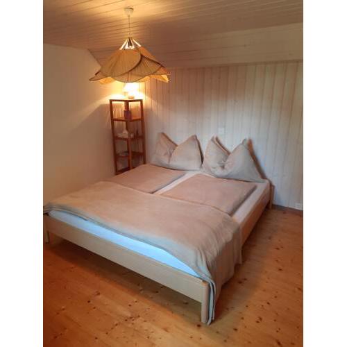 Mountain Village Room