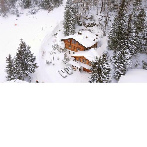 MOUNTAINRANGER - Lodge