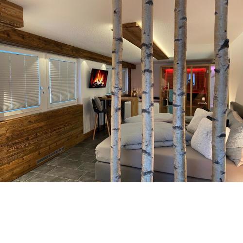 Mountainsuite