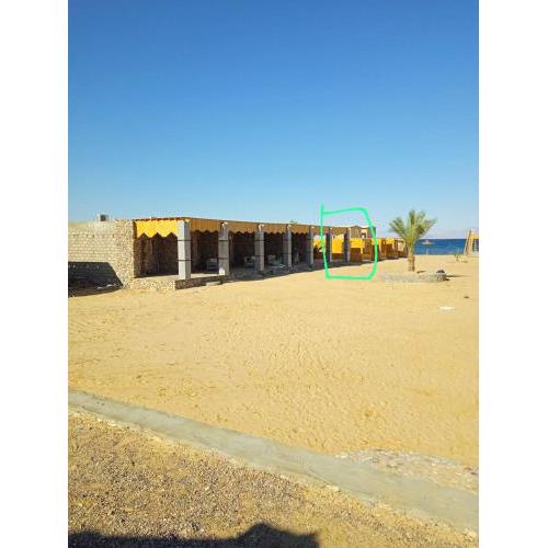 Musa Camp
