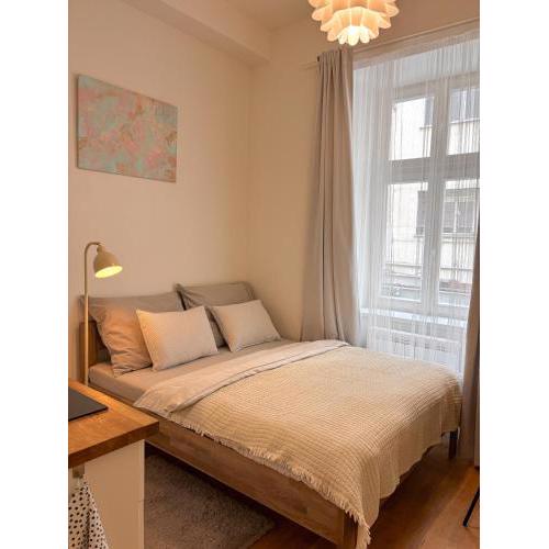 Museum Park Apartment