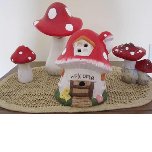 Mush-Room Peyia