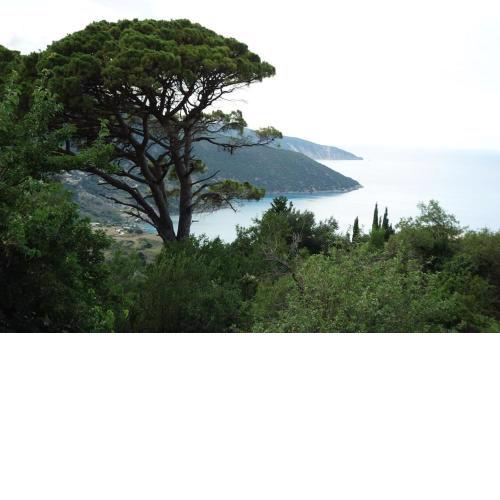 Myrtos View