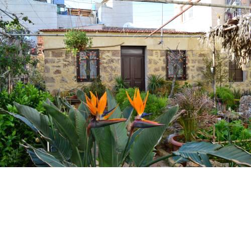 Mystery Garden Guest House