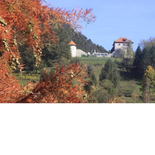 Na Kopitarjevi