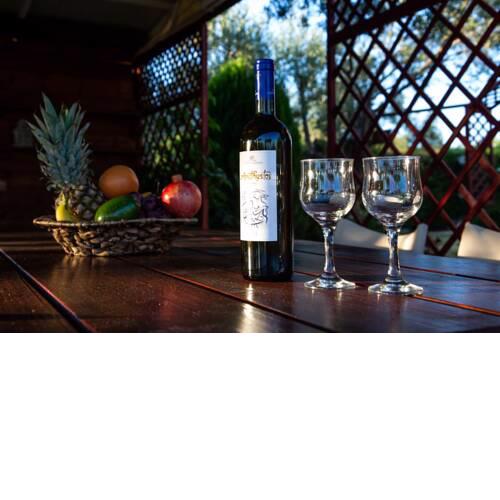Nafplion Bros Garden Home in Olive Grove Resort