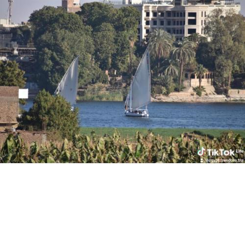 Nanis Guest House Nile View