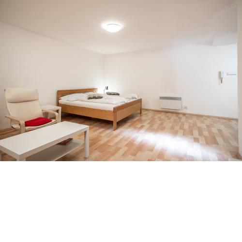 National Museum apartment near Wenceslas sq. by easyBNB