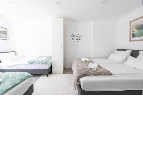 Natur View Apartment