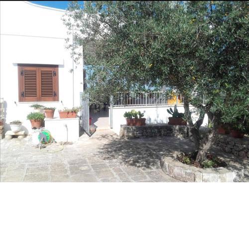 Natura e relax La campagna di Nonna Maria
