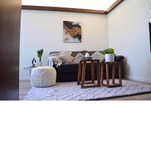 Natural-Style Apartment in The Centre of Bratislava