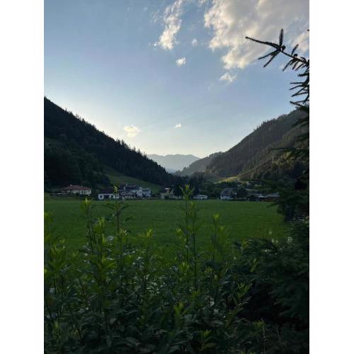 Naturparadies Nähe Grüner See