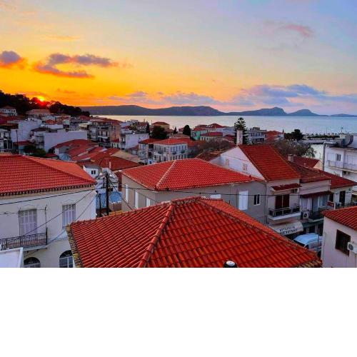 Navarino's view