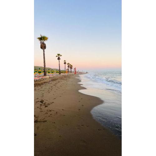 Near Beach Holiday Apartments