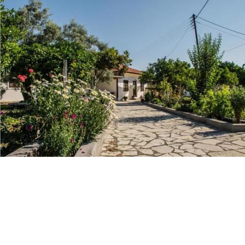 Nefeli house
