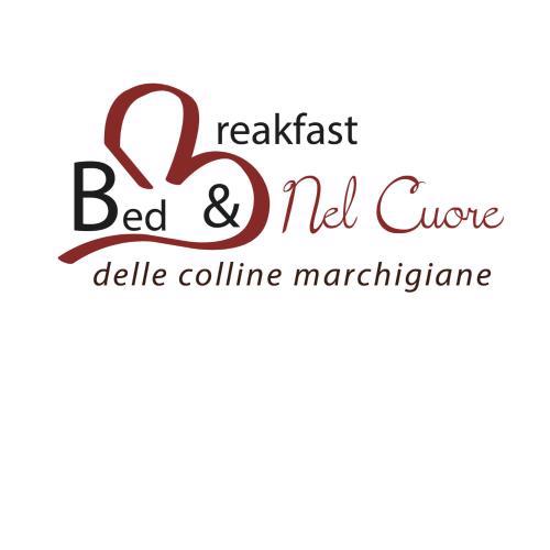 Nel Cuore delle colline Marchigiane