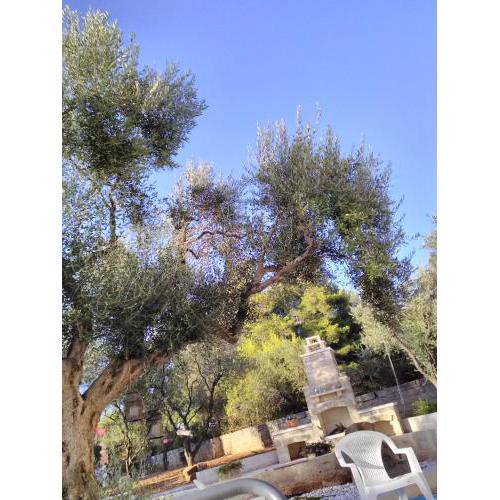 Nel Giardino di Isabel