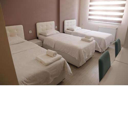 Nemesisco apart otel