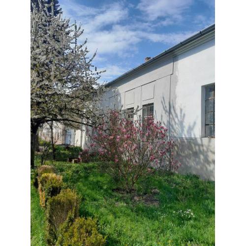 Neoclassical manor surrounded by Organic Farm, Thaya valley